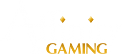 Affinity Gaming